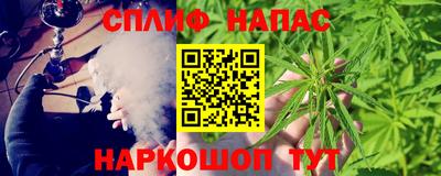 спиды Обь