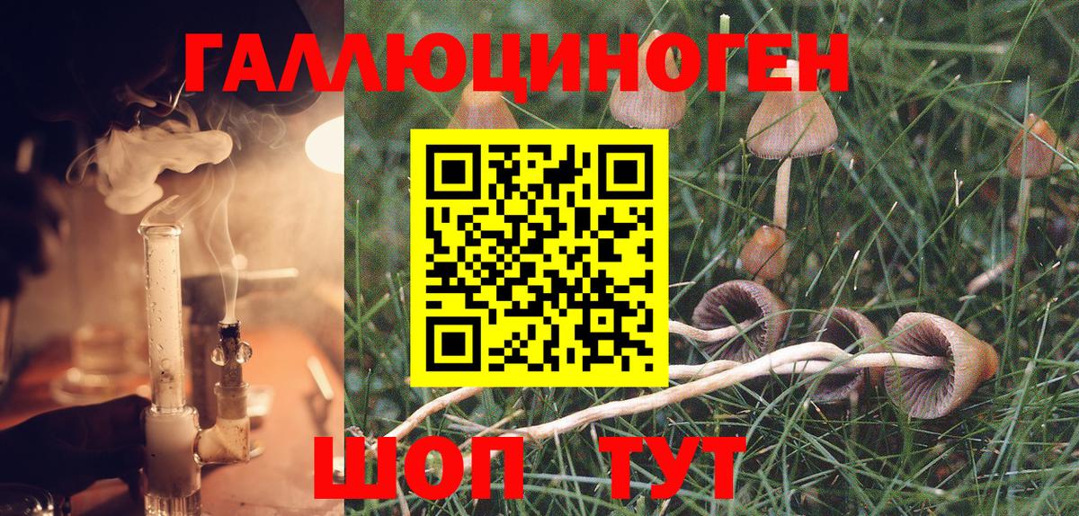 Саратов  Галлюциногенные грибы Psilocybine cubensis  Вход с VPN 