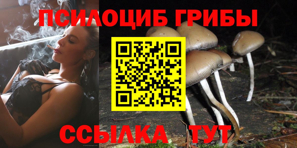 Галлюциногенные грибы прущие грибы Саратов